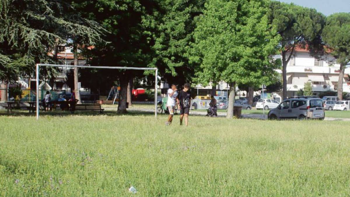 Gambettola, la ditta non taglia l'erba: il Comune ne cerca un'altra