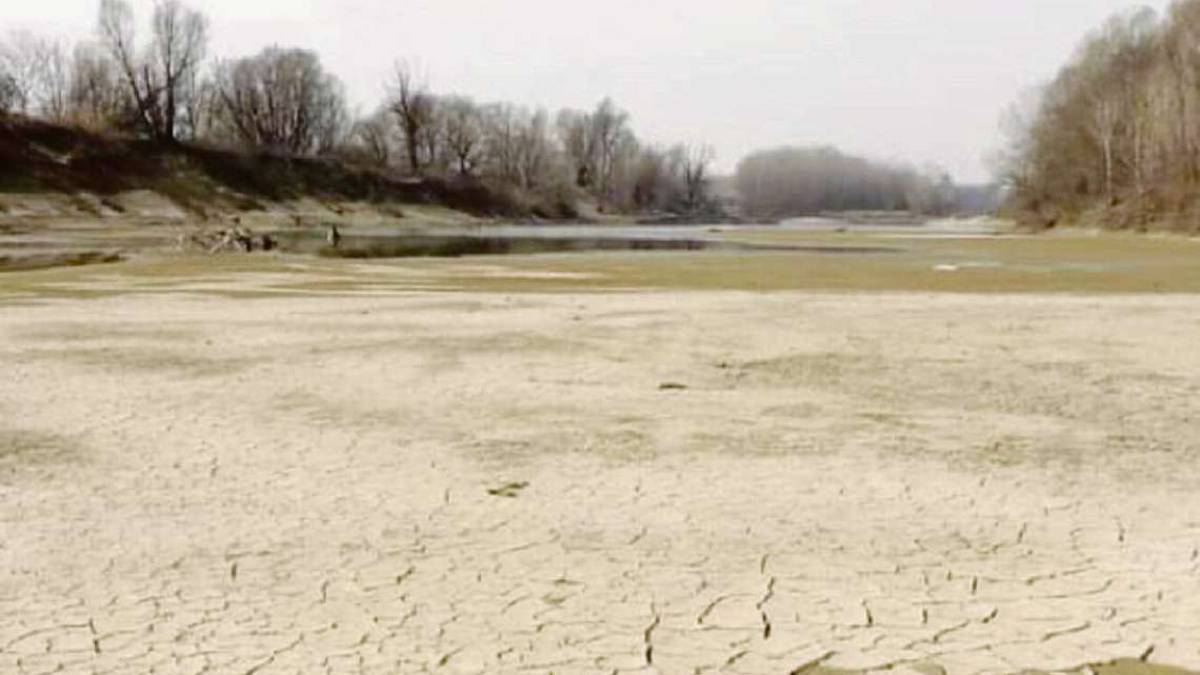 Clima tropicale, in Romagna valori più alti di 2 gradi entro il 2050