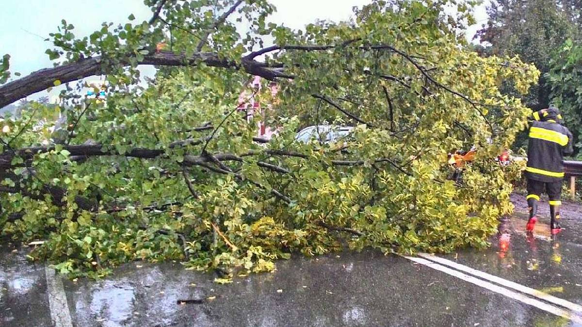 Ravenna, una domenica in mezzo alla bufera in provincia