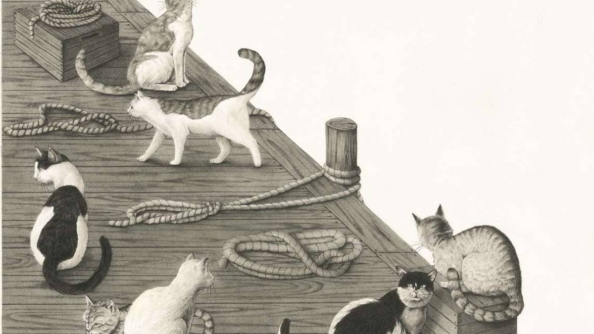 I gatti di Hemingway disegnati da Alice Barberini
