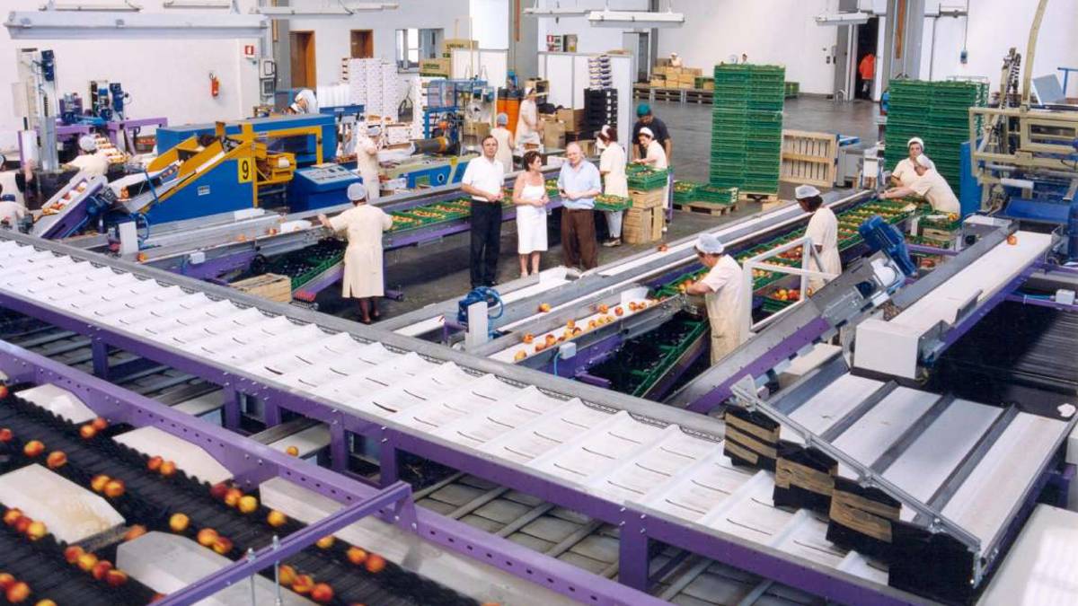 Da Unigrà a Unitec: ecco le aziende ravennati con partecipazioni in Russia