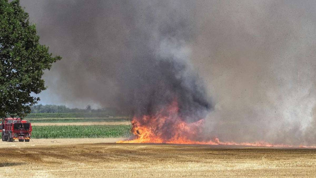 Il meteorologo: In Romagna c'è il clima della Puglia di 40 anni fa