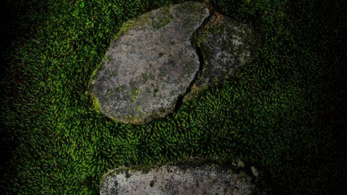 Nelle foto di Bruss la sfida alla natura universale