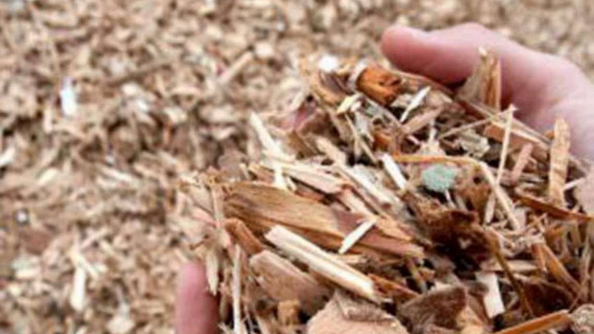 A scuola di legno: parte un corso riservato a docenti ed educatori