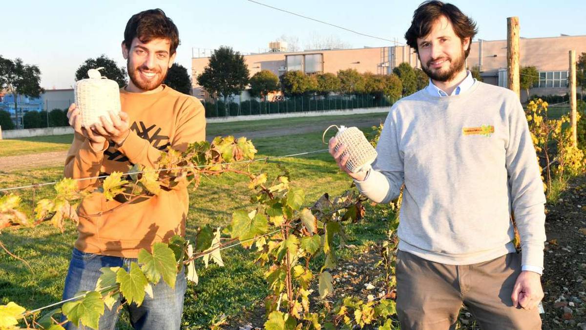 Forlì, plastica addio, è tempo di biodegradabili: Sabiomaterials all'avanguardia