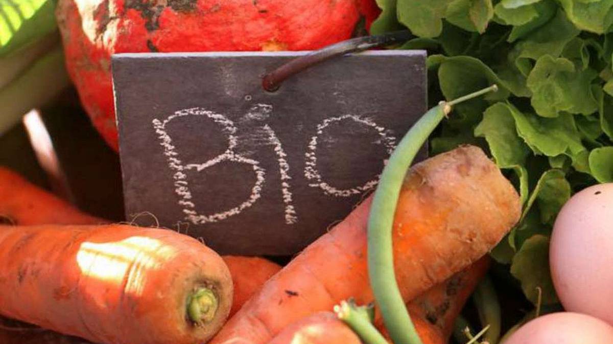 Ok dal Senato alla legge sul biologico