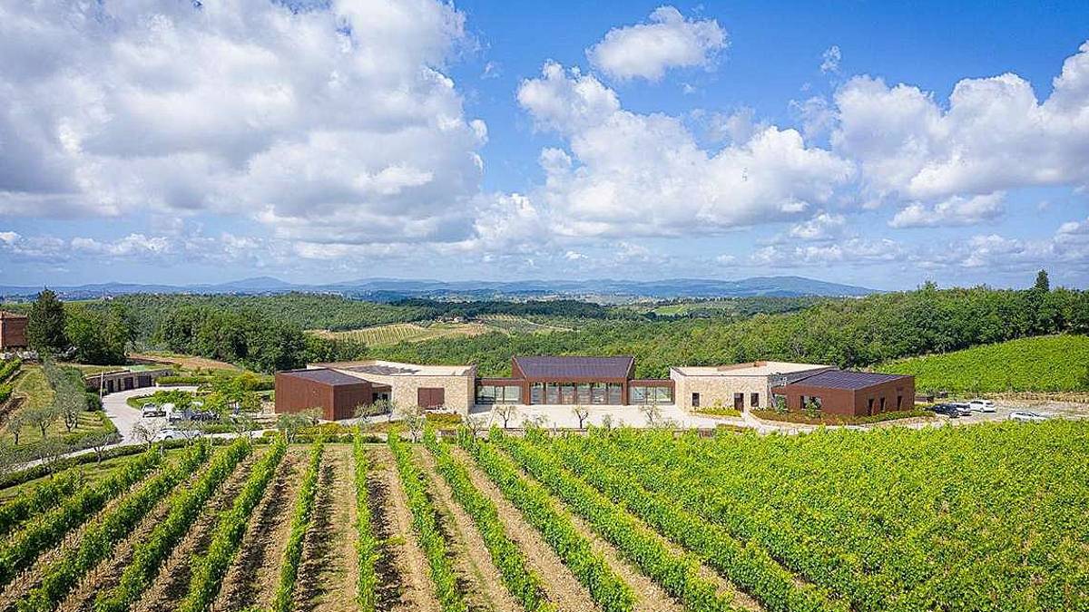 Dal Sangiovese al Pinot Nero, le mille sfide di Vallepicciola
