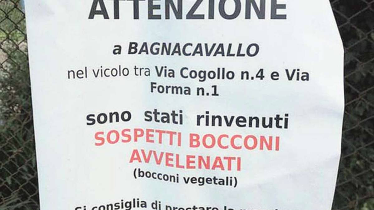 Esche pericolose a terra a Bagnacavallo