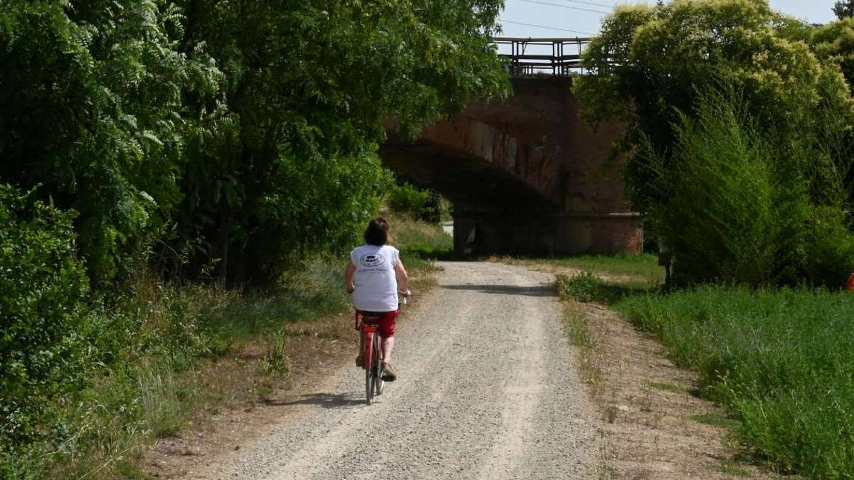 Aree verdi a Imola, sfalci al via in due milioni di metri quadrati
