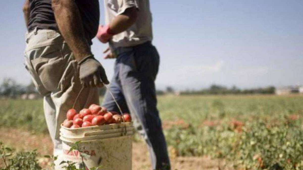 Caporalato a processo tra Cesena e Verghereto