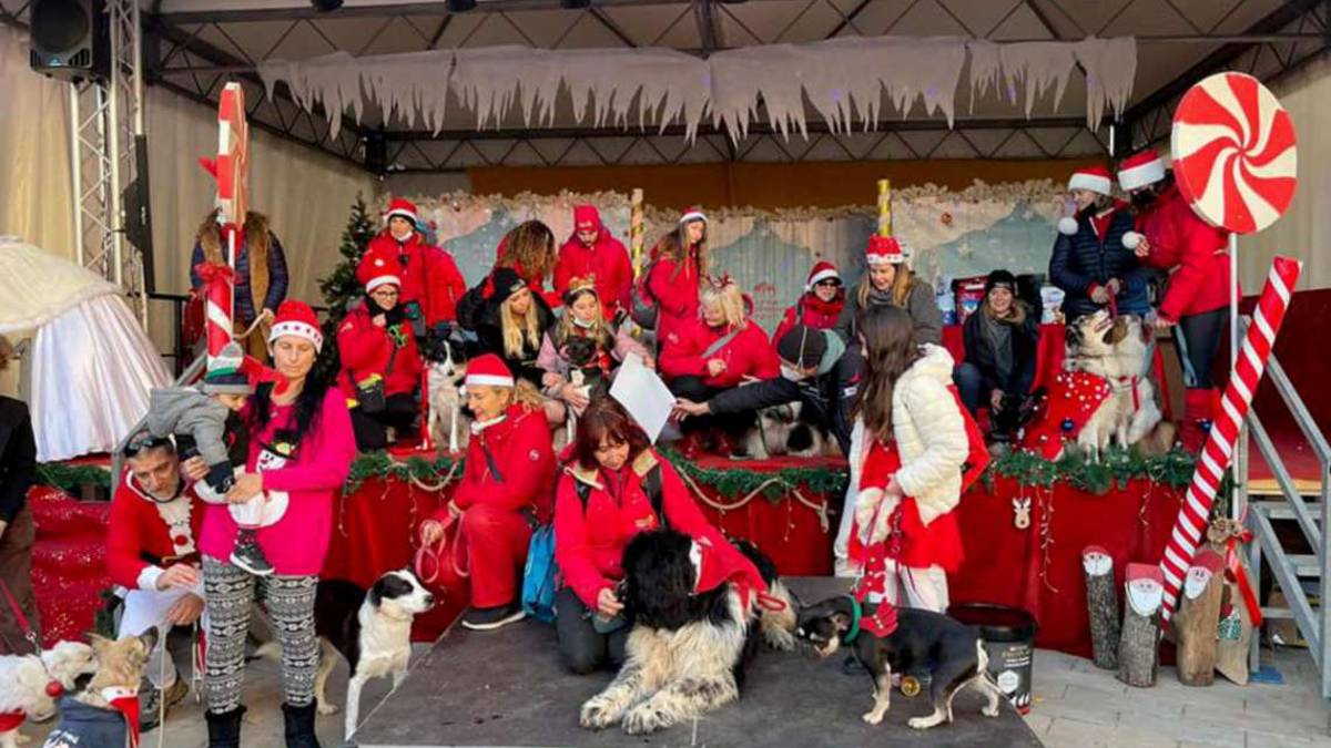Cervia, la sfilata di Natale con cani e gatti