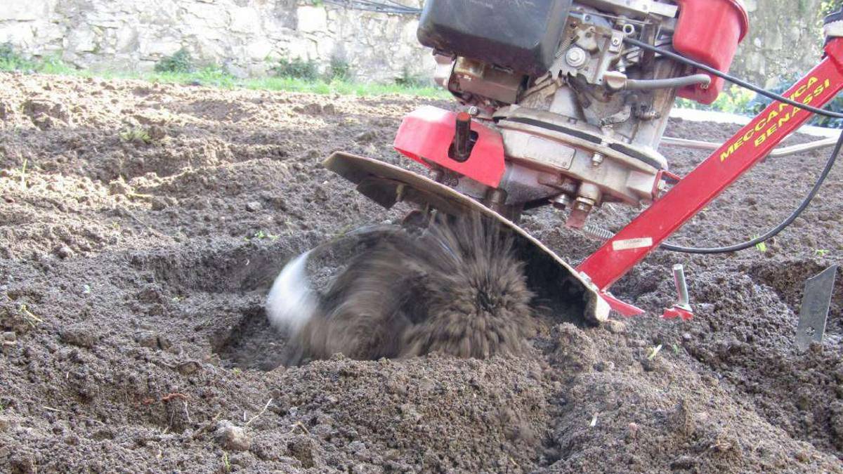 Sarsina: cade con la motozappa e fiisce in Rianimazione