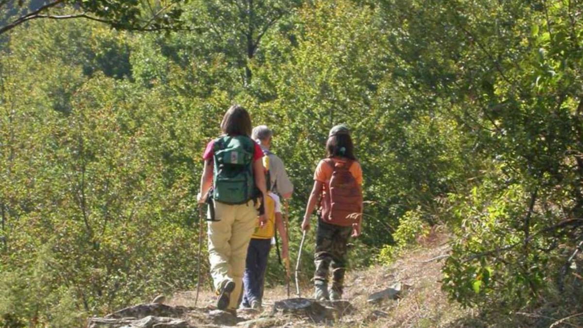 Emilia-Romagna apripista con una sua buona pratica