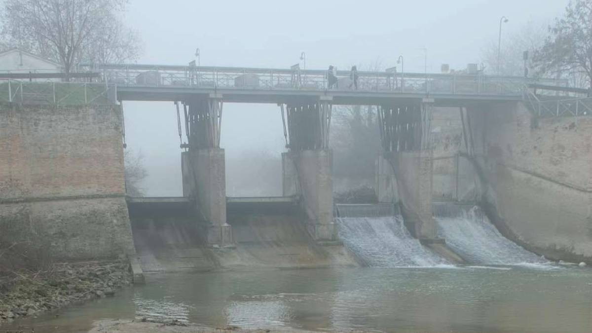 Siccità a Ravenna: Senza il Cer paura per la biodiversità