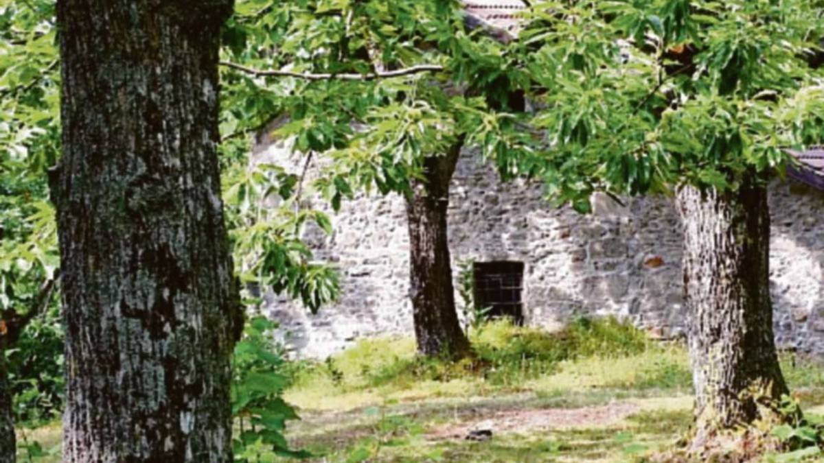 Il Castagneto di Granaglione diventa un centro di studio