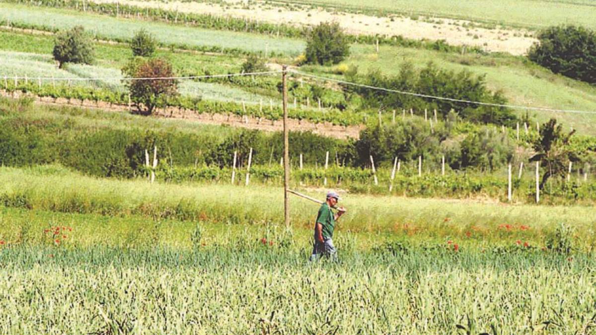 L'alimentare è responsabile di più di un terzo delle emissioni