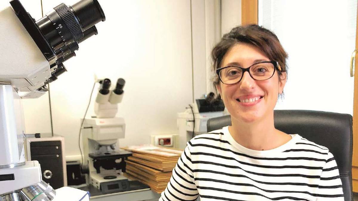 Gambettola, premiata ricerca su una rara malattia alle ossa