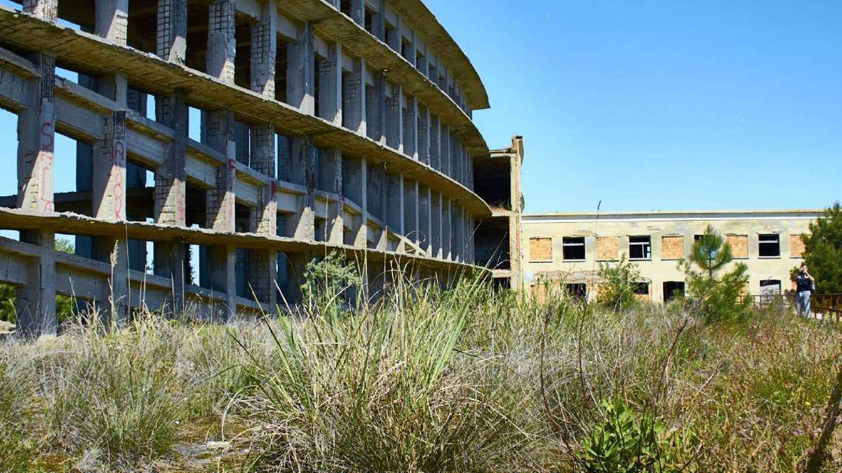 Cervia, la proposta: Un bosco verticale a due passi dal mare