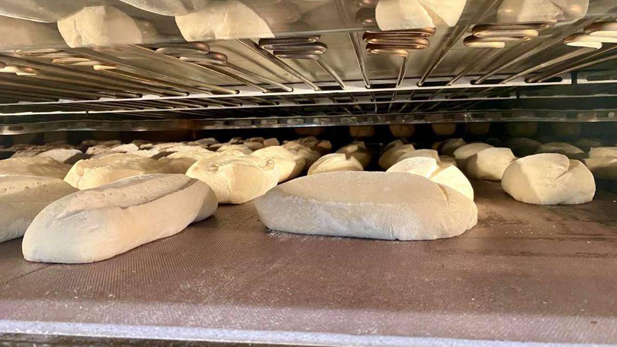 Cesena: guerra e rincari strozzano anche la filiera del pane