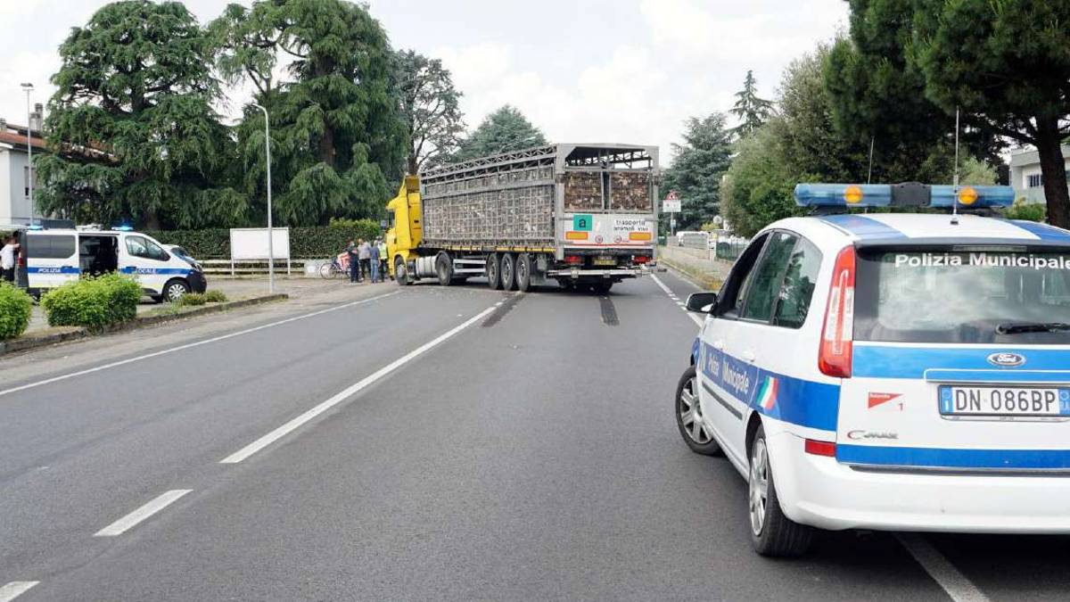 Ravenna, sicurezza stradale: in arrivo due rotonde e una ciclabile