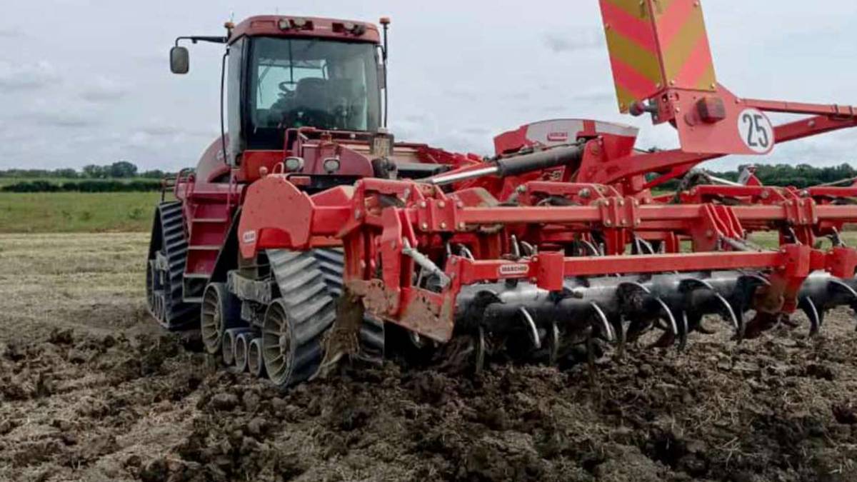 Ravenna, la lotta contro il fango: Anni per coltivare i campi