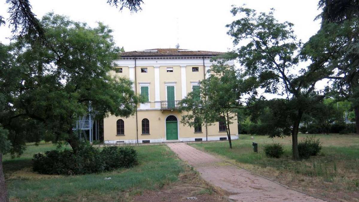 Alberi pericolanti a Imola: monitoraggi e cure nei parchi