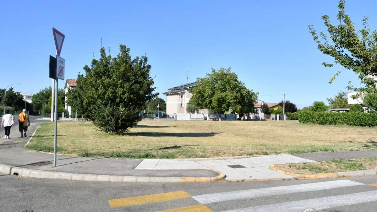 Forlì. Dieci nuovi boschi urbani dall'autunno