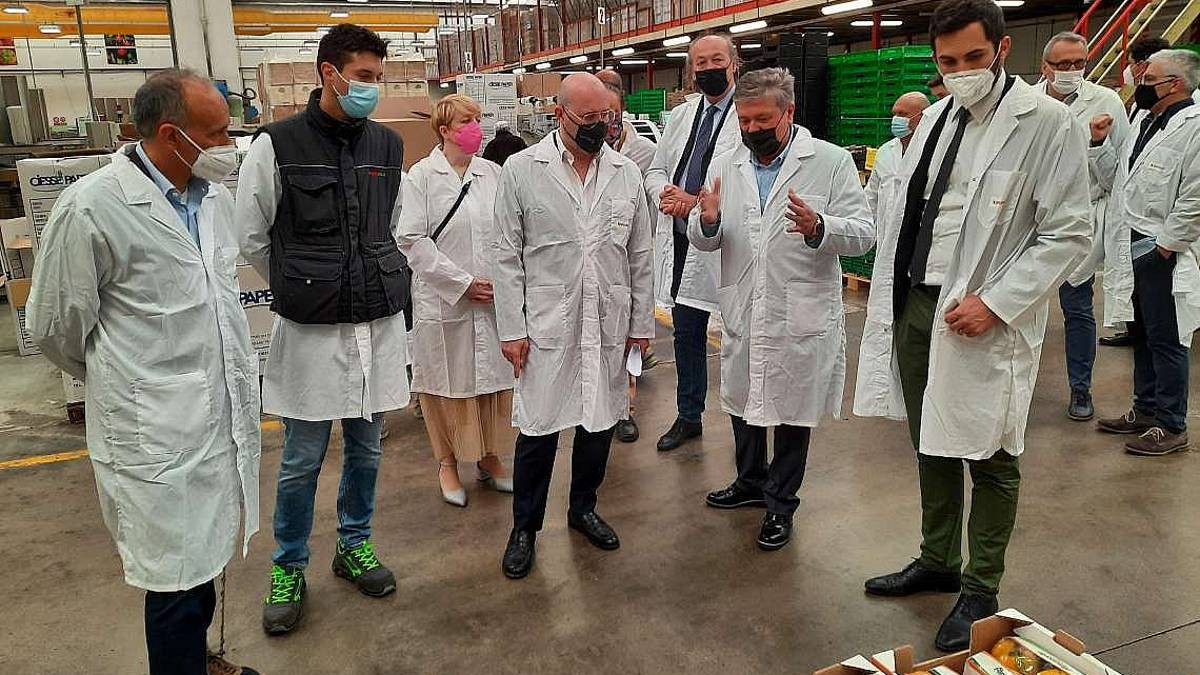 Gelate, costo manodopera e Covid, ma Apofruit rilancia l’ortofrutta