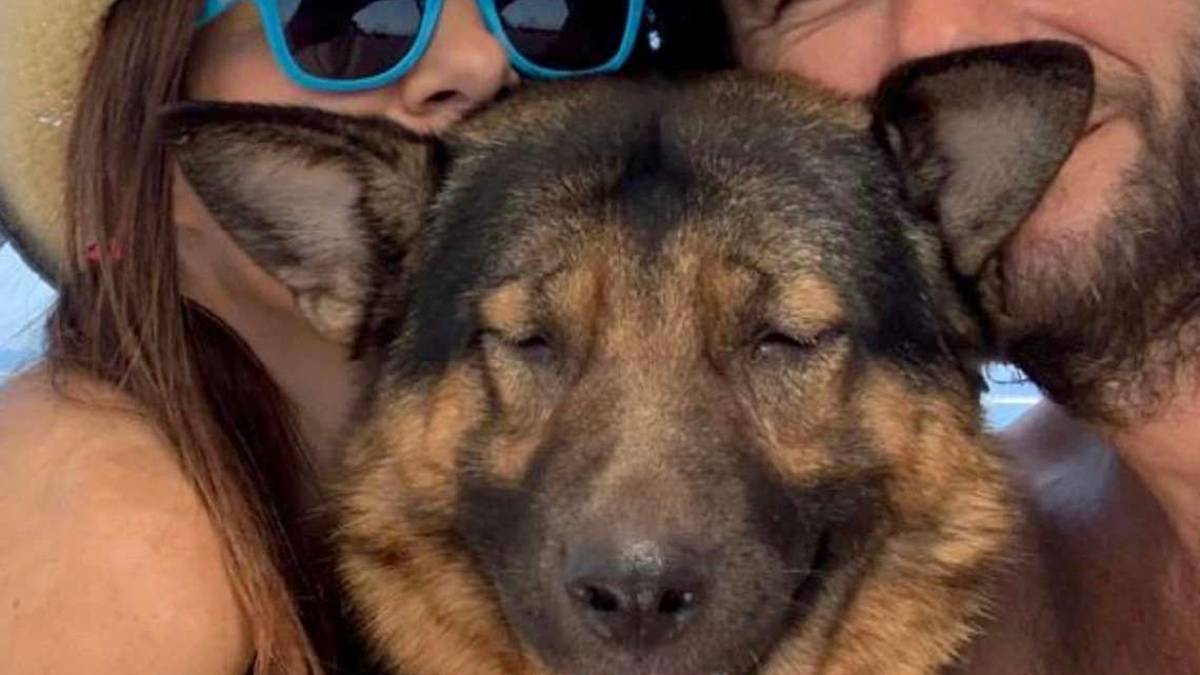 Ravenna, in vacanza con Marley, il nostro super cane cieco