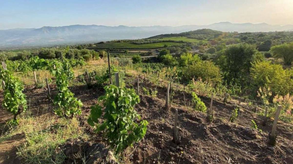 Cornelissen, l'Etna che non ti aspetti
