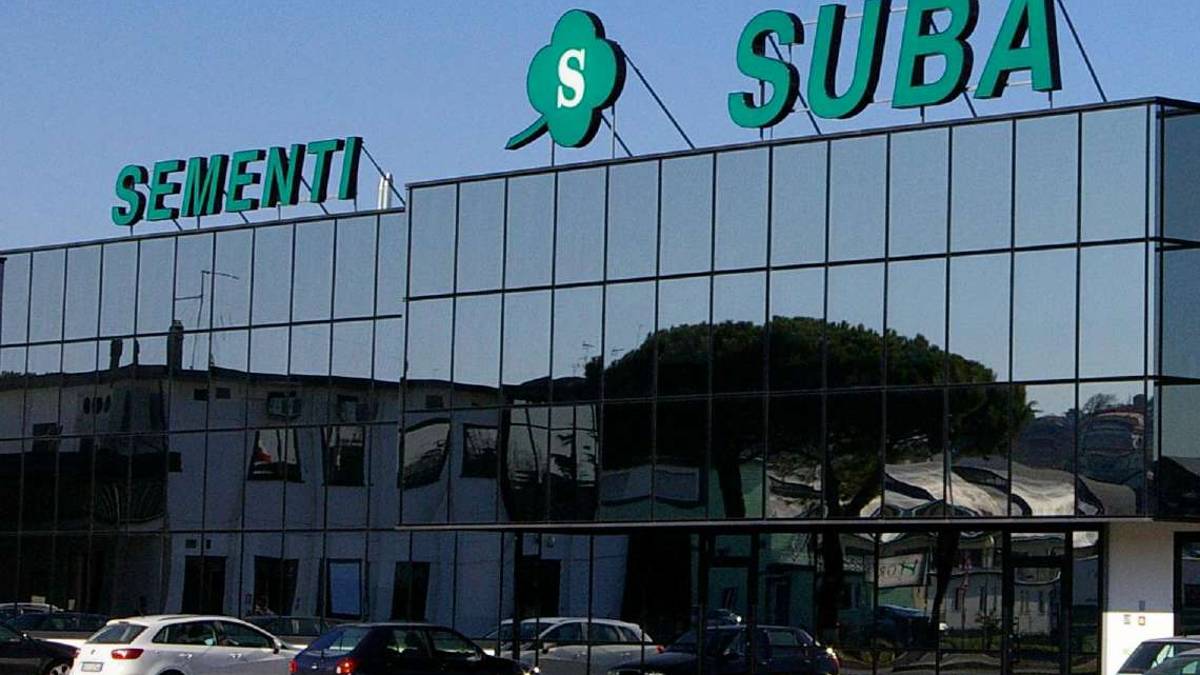 Longiano: partita a scacchi per comprare Suba Seeds
