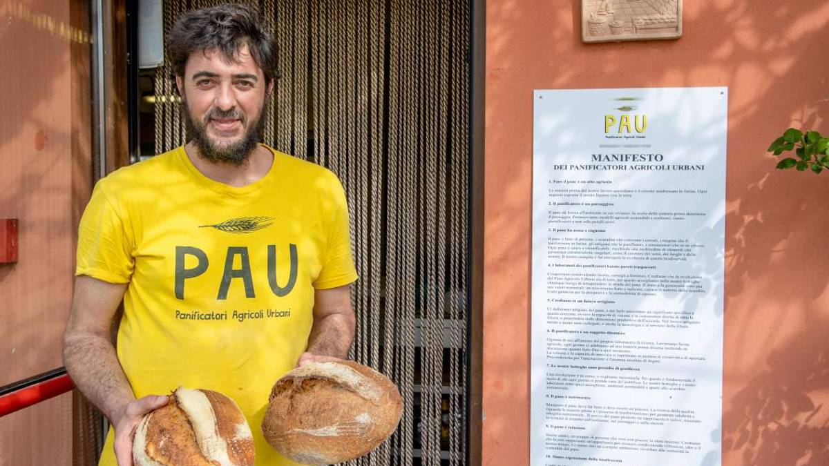 Grani biodiversi, pasta madre e condivisione nel pane di Lorenzo