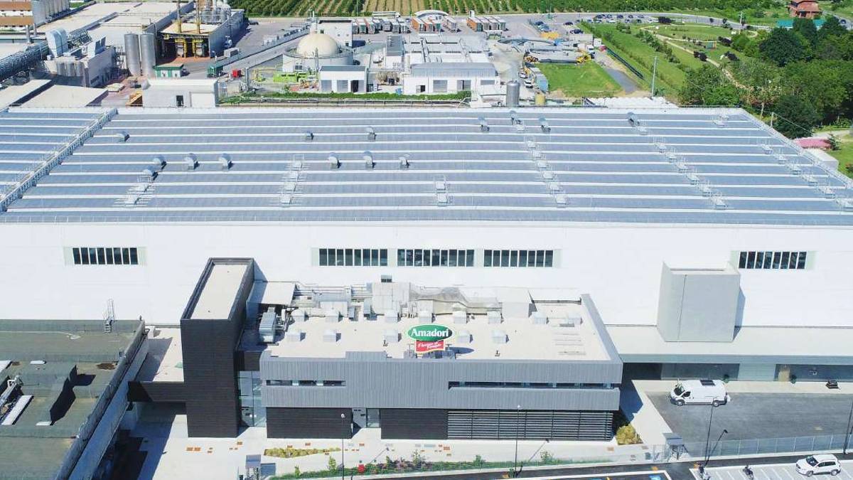 Cesena, Amadori cresce ma assumere è una sfida