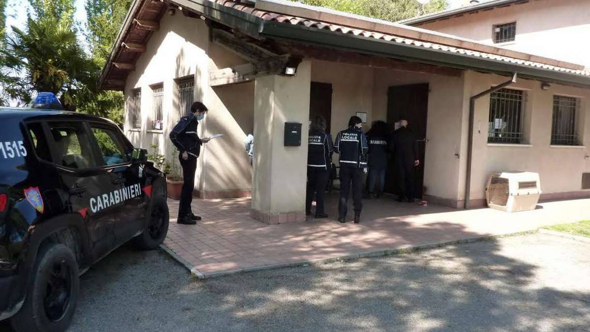 Ravenna, il dottor Guerra davanti al giudice: i fedelissimi si mobilitano per il veterinario