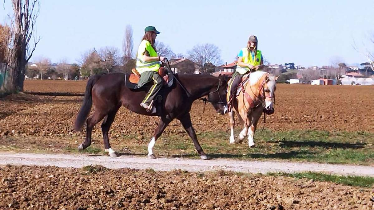 Savignano: animali da adottare in tv su Rete 4