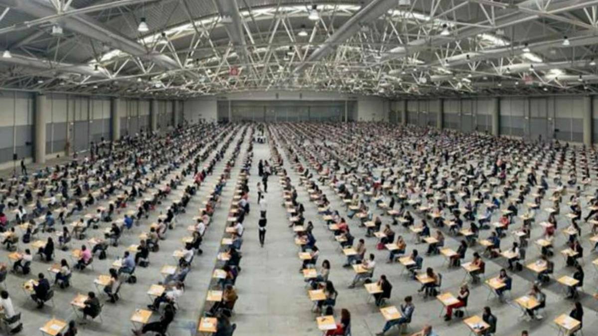 Reddito di cittadinanza: in Romagna è fuggita la metà dei “navigator”