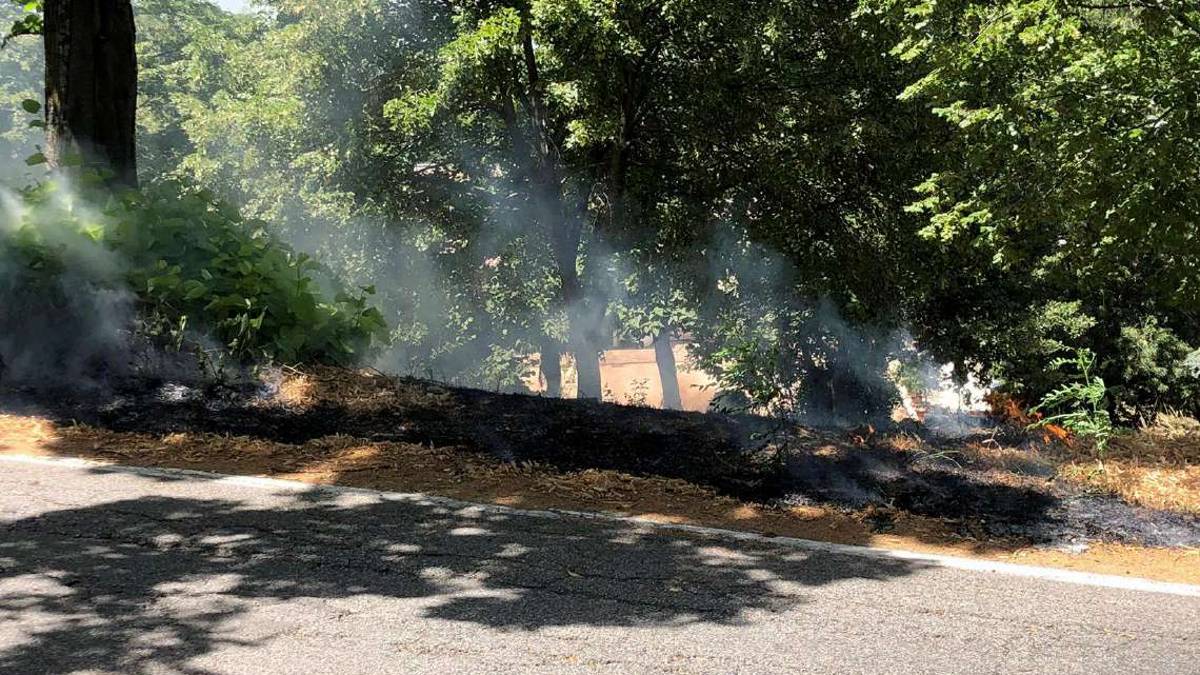 Longiano, a fuoco mille metri di macchia mediterranea