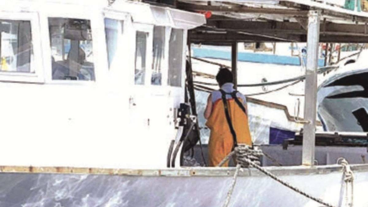 Cesenatico, fine fermo: tornano in mare anche le barche a strascico