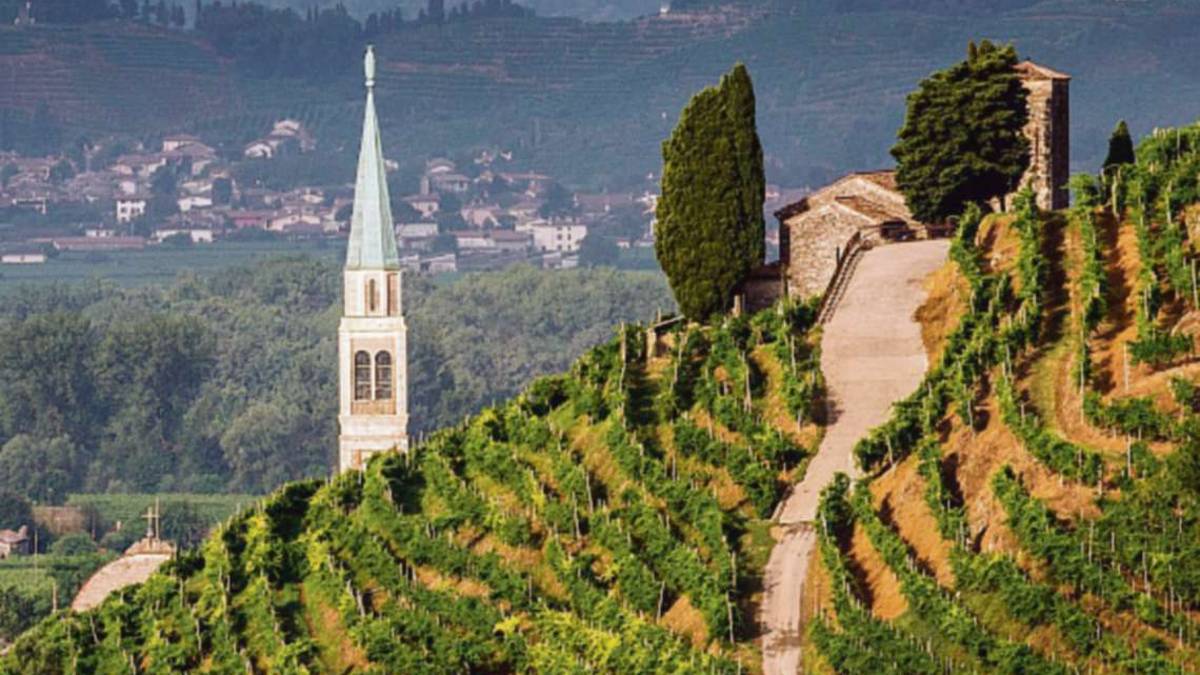 I vigneti come antidoto al dissesto idrogeologico