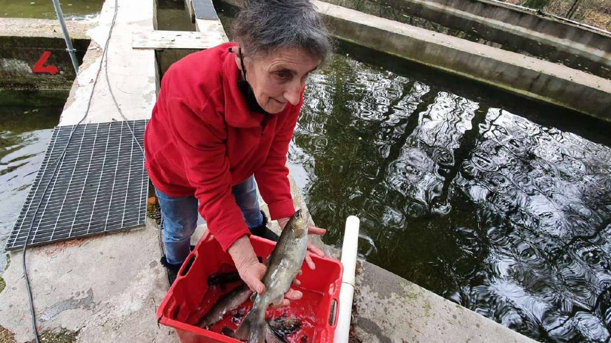Fiorenza e la sua passione: un vita tra le trote