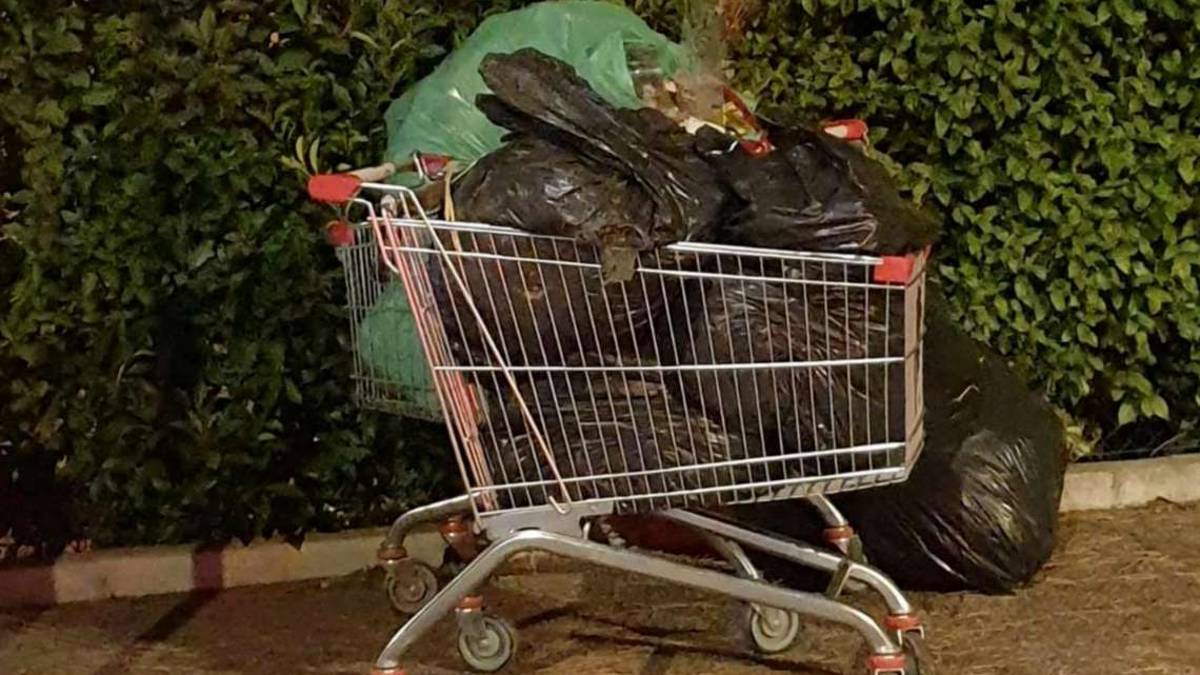 Forlì, rifiuti abbandonati ai Romiti: caccia ai responsabili