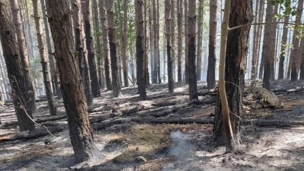 Brisighella, Insulti alla Giunta dopo l'incendio, denunciamo