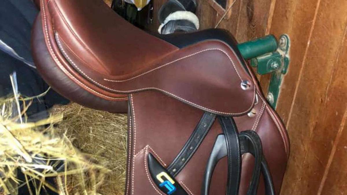 Cesena, furti su commissione di selle da cavallo