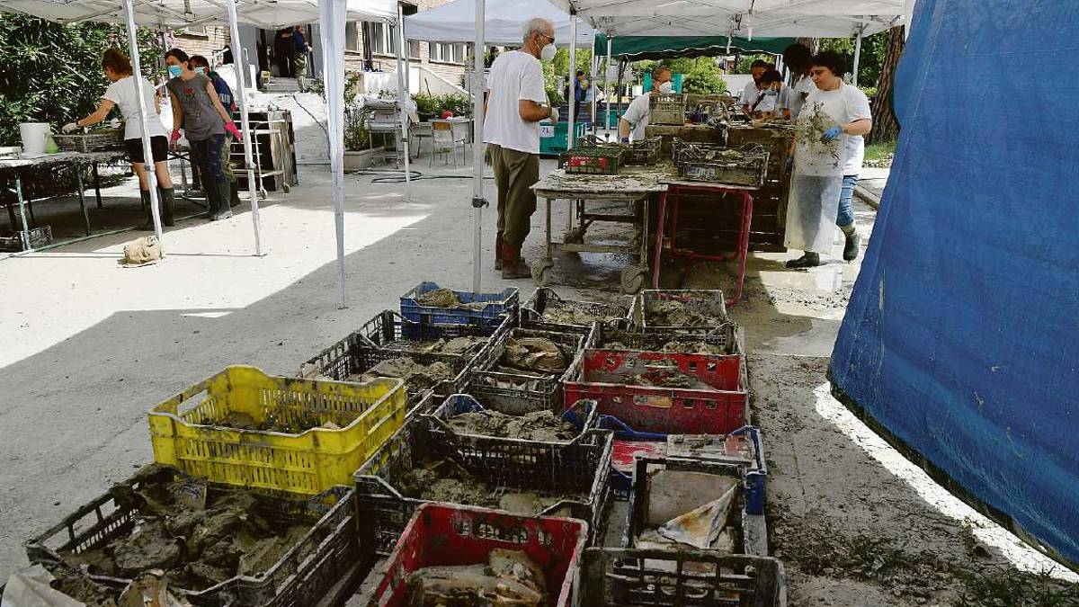Forlì. Seminario, salvati 50mila libri. Ora una nuova biblioteca