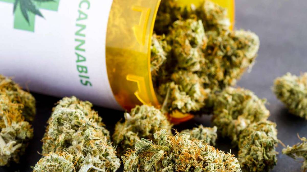 Ravenna, coltivava marijuana, assolto: Era a scopo terapeutico