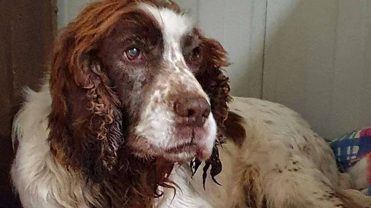 Rudy, 13 anni difficili