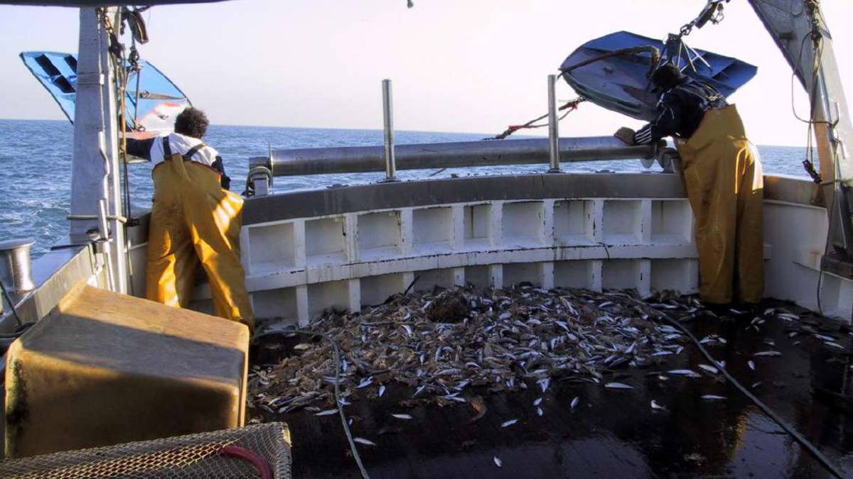 Cesenatico, la Ue vuole abolire la pesca a strascico