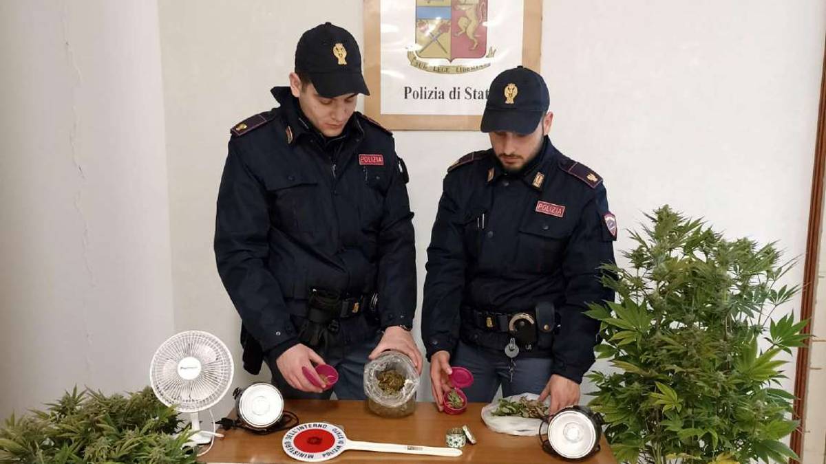 Imola, chiamata per una lite, la polizia scopre serra di marijuana