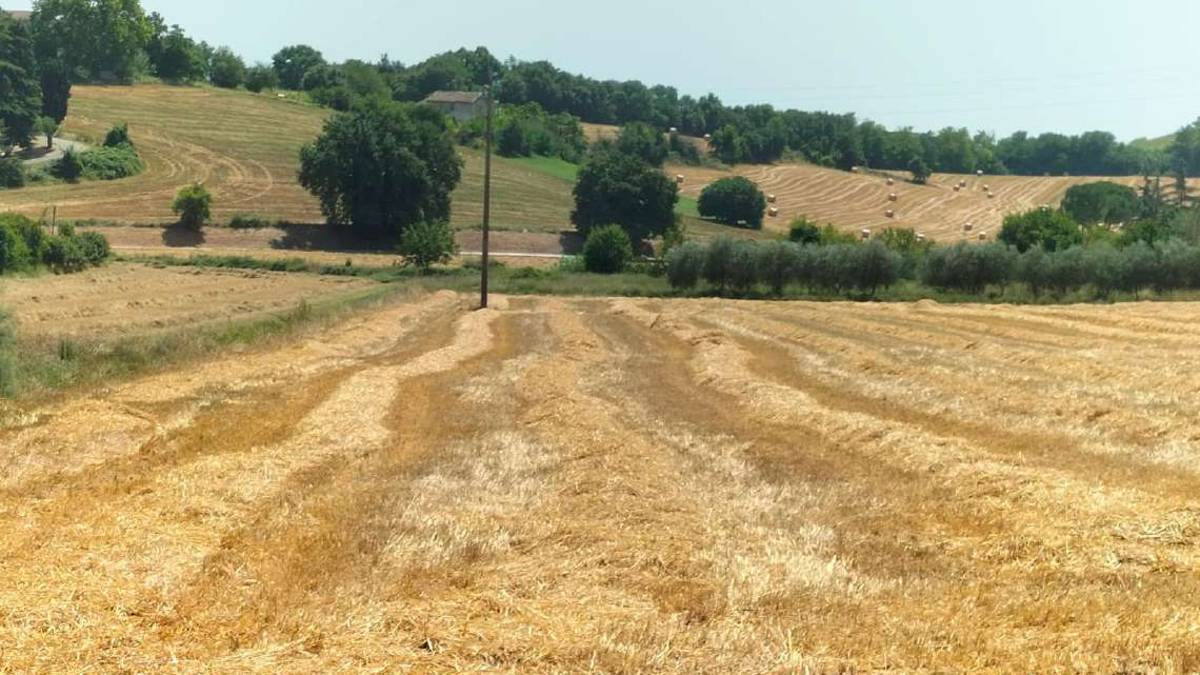 Cesena, nasce comitato contro il mega metanodotto Snam