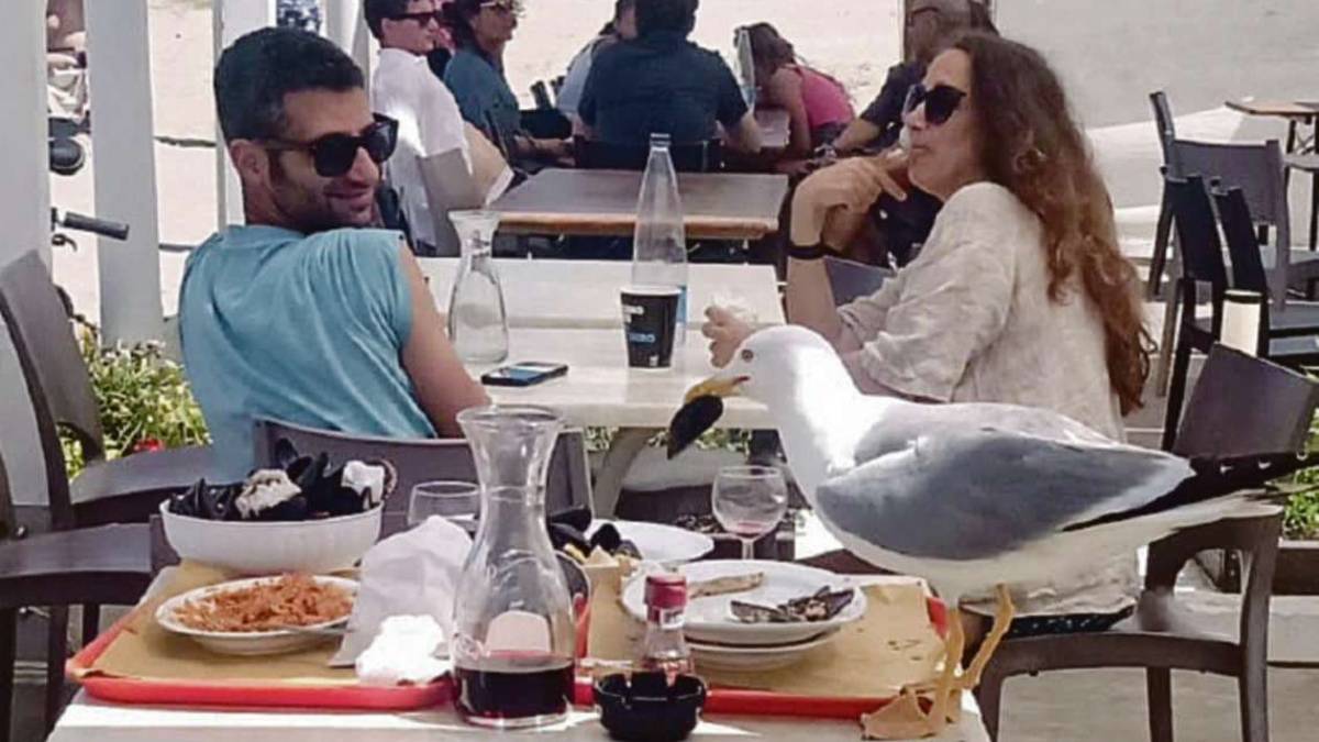 Cesenatico, i gabbiani rubano il cibo dai piatti dei ristoranti